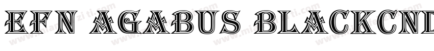 EFN Agabus BlackCnd字体转换